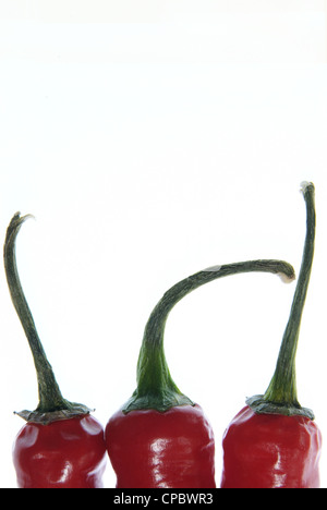Red chili peppers Stockfoto