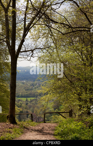 Pol-Zaun an Spitze der malerischen Aussicht auf steile von Ashford Kleiderbügel Stockfoto