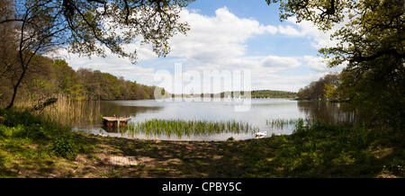 Panorama von Frensham Pond in Surrey Stockfoto