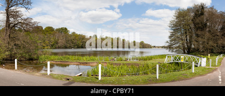 Panorama von Frensham Pond in Surrey Stockfoto