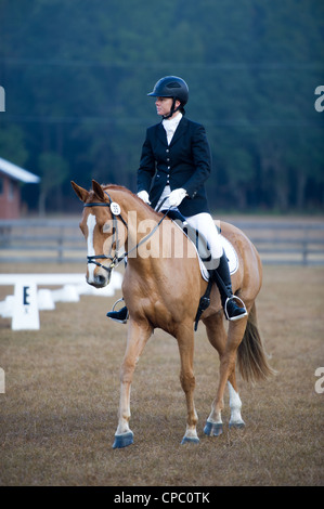 Ashley Leith konkurriert Miss Money Penny in der Dressur-Phase der Vielseitigkeit in der Novice Division bei Florida Horse Park. Stockfoto