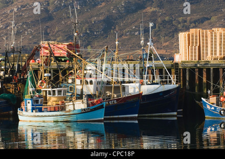 Angelboote/Fischerboote in Ullapool Pier, Ross-Shire, Schottland. Stockfoto