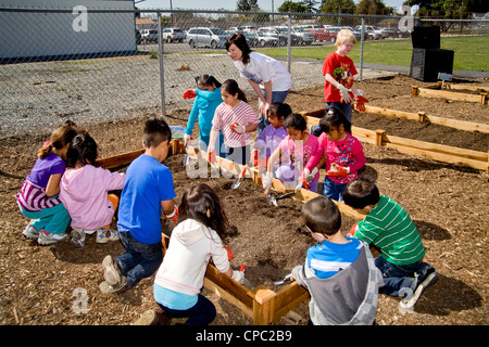 Hispanic und kaukasischen örtlichen Kindergartenkinder arbeiten in einem Garten auf dem Gelände einer Grundschule in Westminster, CA. Stockfoto