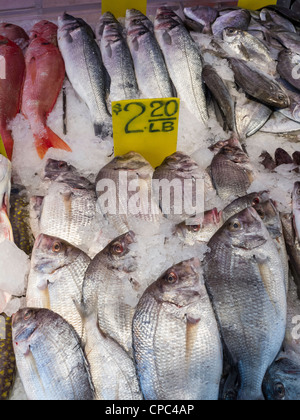 Fisch Markt, Chinatown, NYC Stockfoto