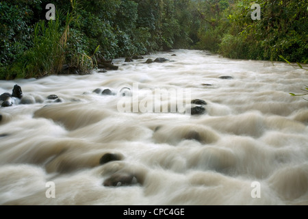 Rio Mindo Nebelwald in den ecuadorianischen Anden durchzogen Stockfoto