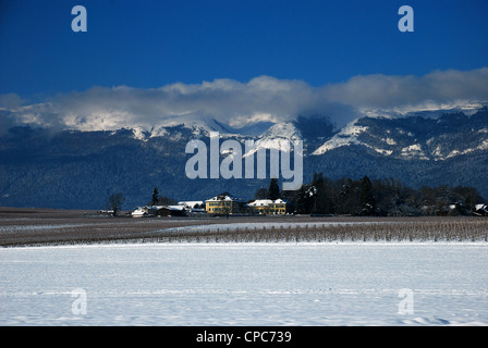 Tulpe-Bauernhof im winter Stockfoto