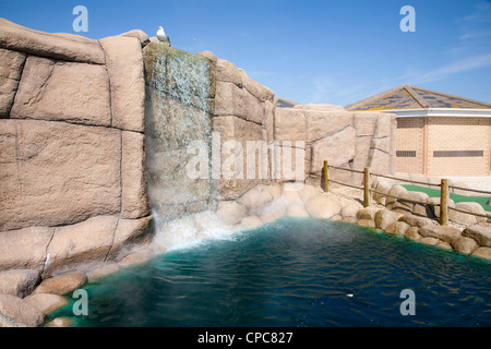 Eine Möwe sitzt oben auf eine gefälschte Wasserfall, Bestandteil der Minigolfanlage an Hastings Strandpromenade Stockfoto