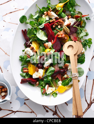 Schüssel mit Ziegenkäse und rote Beete Salat Stockfoto