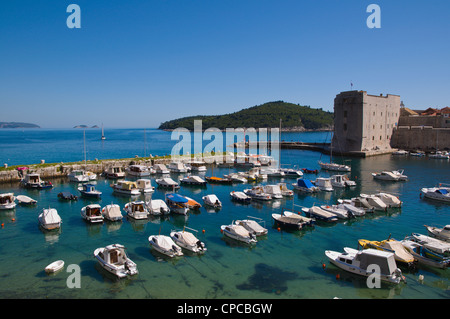 Alten Hafen Hafen Bereich Stadt Dubrovnik Dalmatien Kroatien Europa Stockfoto