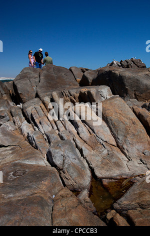 Drei Menschen stehen in der Ferne auf den großen Felsen, an der West Coast National Park, Südafrika Stockfoto