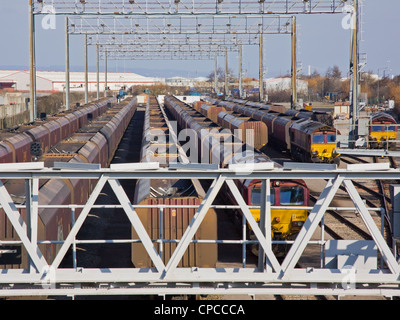 Flotte der Kohle Züge in Anschlussgleise an Avonmouth docks Bristol UK Stockfoto
