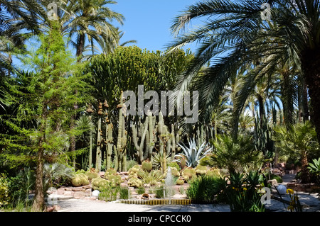 Garten Huerto del Cura in Elche, Costa Blanca, Spanien Stockfoto
