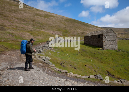 Von Küste zu Küste Wanderer, mann, Leute in Swaledale, auf der Strecke von Keld zu Gunnerside und Reeth, North Yorkshire, Großbritannien Stockfoto