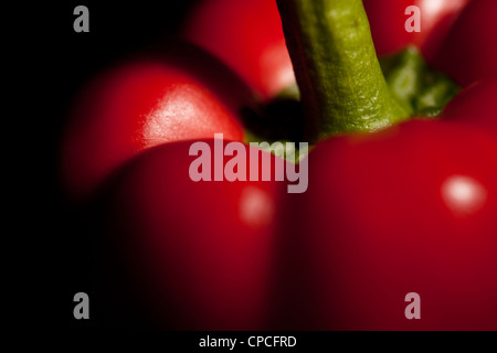 Nahaufnahme der neu ausgewählten Paprika mit engen Schärfentiefe, Stillleben. Stockfoto