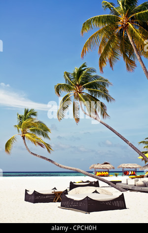 Landschaftsfoto von Kokospalmen und Sofas am weißen Sandstrand mit blauem Himmel Stockfoto
