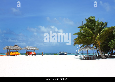 Landschaftsfoto von Kokospalmen und Sofas am weißen Sandstrand mit blauem Himmel Stockfoto