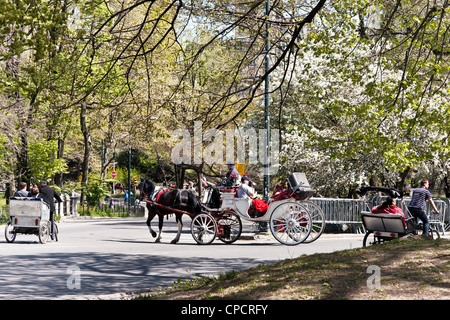 traditionelle Pferd & Beförderung & Rivalen Fahrradrikschas geben den Besuchern romantische Tour des Central Parks an schönen Frühlingstag New York City Stockfoto