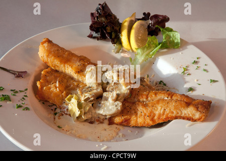 Zander Fisch Abendessen am Plattenteller USA Stockfoto