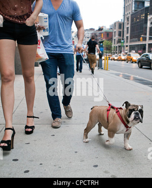 Ein Mann und eine Frau Fuß ihren Hund in New York City. Stockfoto