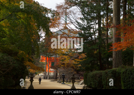 Danjo Garan Komplex, Koyasan, Honshu, Japan Stockfoto