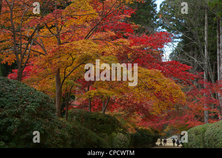 Danjo Garan Komplex, Koyasan, Honshu, Japan Stockfoto