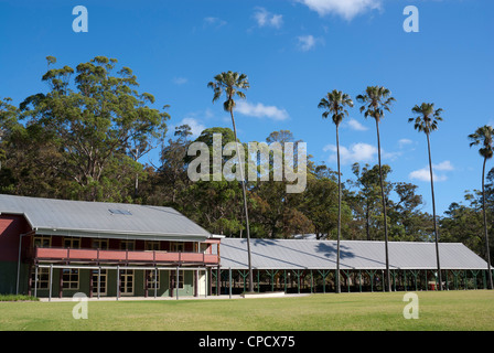 Ironbark Wohnung Picknickplatz und Audley Tanzsaal, in der Royal National Park, südlich von Sydney Stockfoto