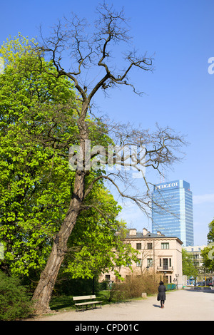 Sächsische Garten (Polnisch: Park Saski) im Frühjahr im Zentrum von Warschau in Polen Stockfoto