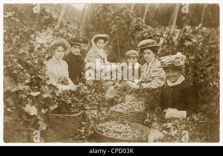 Edwardianische Postkarte von glücklich aussehenden Hopfenpflückern, während eines Arbeitsurlaubs, möglicherweise in Kent, Großbritannien, um 1905 Stockfoto