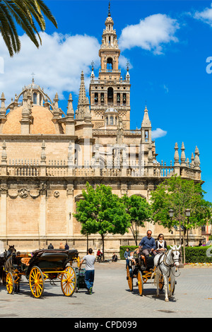 Europa, Spanien Andalusien, Sevilla, Pferdewagen vor der Kathedrale von Sevilla Stockfoto