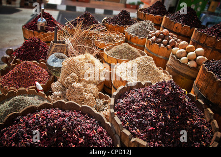 Anzeige von Gewürzen und Kräutern in Markt, Scharm El-Scheich, Ägypten, Nordafrika, Afrika Stockfoto