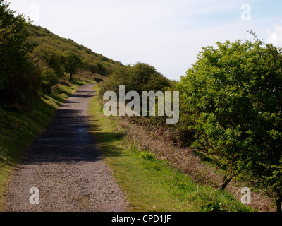 Wanderweg, Brean unten, Burnham-on-Sea, Somerset, Großbritannien Stockfoto