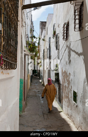 Medina, Tetouan, UNESCO World Heritage Site, Marokko, Nordafrika, Südafrika Stockfoto