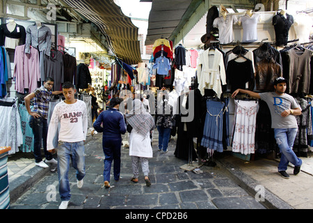 Souk, Medina, Tunis, Tunesien, Nordafrika, Afrika Stockfoto