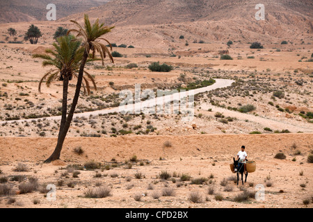 Junge auf einem Esel in einer trockenen Landschaft, Gabes, Afrika, Nordafrika, Tunesien Stockfoto