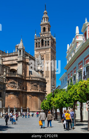 Kathedrale von Sevilla, Sevilla, La Giralda Blick vom Plaza del Triunfo Stockfoto