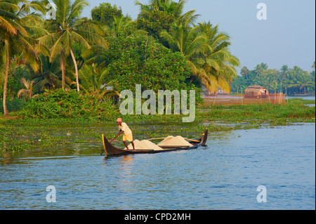 Kleines Boot auf den Backwaters, Allepey, Kerala, Indien, Asien Stockfoto