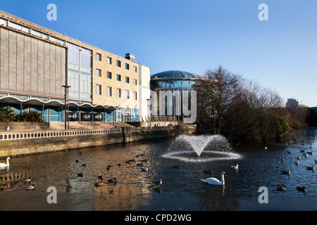 Museum und Wintergärten, Sunderland, Tyne and Wear, England, Vereinigtes Königreich, Europa Stockfoto