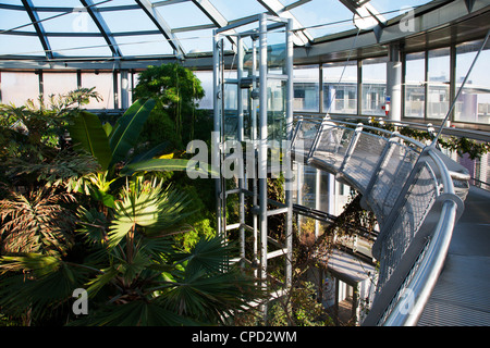 Wintergärten, Sunderland, Tyne and Wear, England, Vereinigtes Königreich, Europa Stockfoto