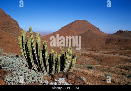 Die roten Hügeln von Damaraland in North West Namibia, Namibia, Afrika Stockfoto