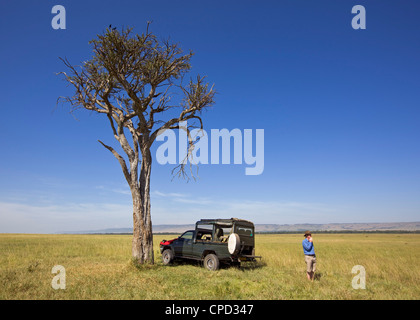 Ein friedliches Picknick in der Masai Mara, Kenia, Ostafrika, Afrika Stockfoto