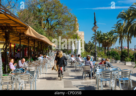 Sevilla, Promenade entlang Guadalquivir, der goldene Turm (Torre del Oro) Stockfoto