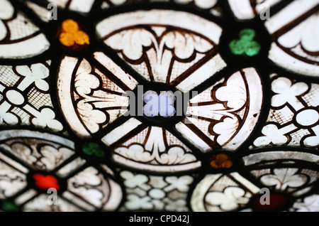 Glasfenster in der Kathedrale von Notre-Dame de Paris Kreuzgang, Paris, Frankreich, Europa Stockfoto