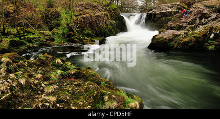 Skelwith Force Wasserfall und Fluß Brathay Skelwith Brücke im englischen Lake District Stockfoto