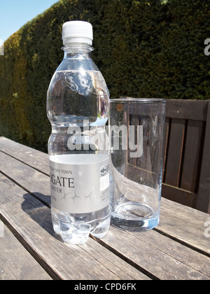 Eine Flasche Mineralwasser und ein leeres Glas auf einem Holztisch Garten Box Hecke hinter. Stockfoto