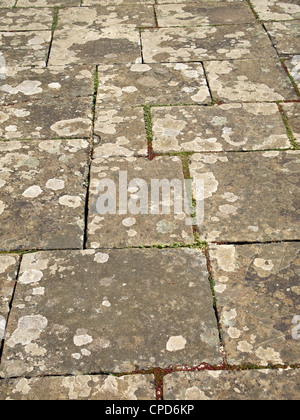 Verwittert und abgenutzte York Naturstein Steinplatten Weg mit Pflanzen wachsen zwischen den Platten. Stockfoto