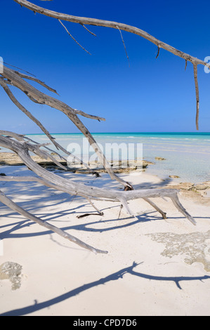 Ein Blick auf tropisches Strandparadies in Cayo Coco, Kuba Stockfoto Ein Blick auf tropisches Strandparadies in Cayo Coco, Kuba Stockfoto
