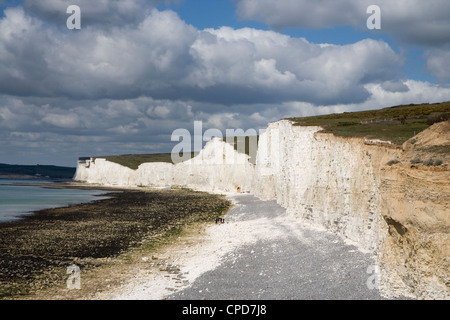 die seven Sisters in der Sussex Downs von birling Gap betrachtet Stockfoto