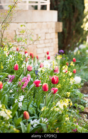 Gemischten Beet im Frühjahr bei Painswick Rokoko-Garten, Gloucestershire, England, UK. Stockfoto