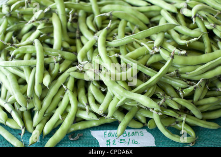 Fava Bohnen auf dem Bauernmarkt Stockfoto