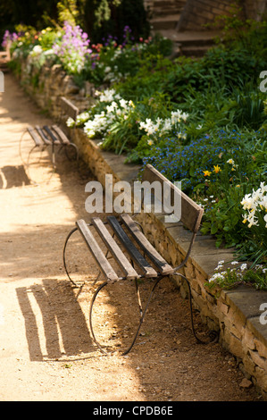 Die lange Grenze im Frühjahr, Painswick Rokoko-Garten, Gloucestershire, England, Vereinigtes Königreich Stockfoto